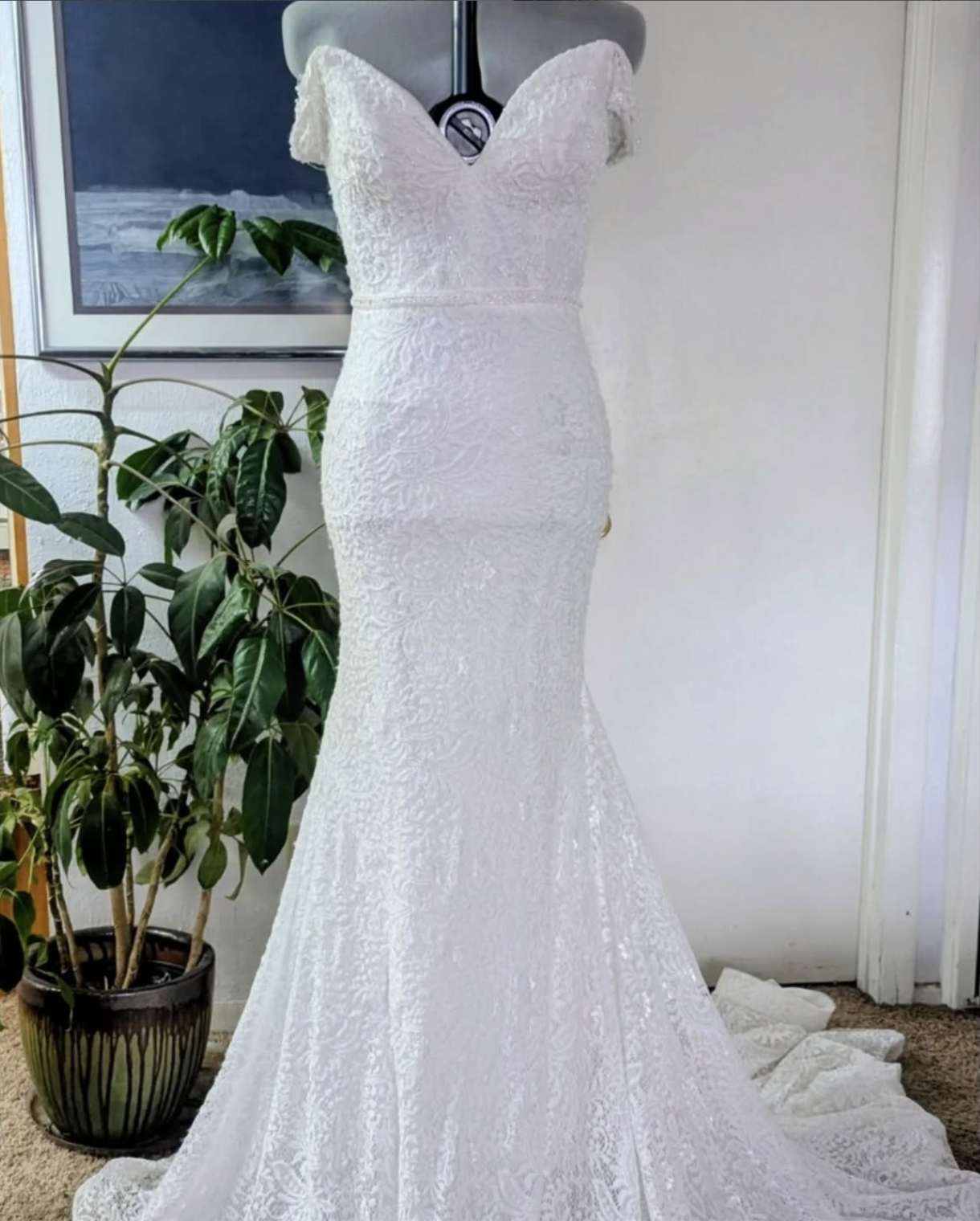 Screenshot 2026-01-28 at 11.26.31 PM