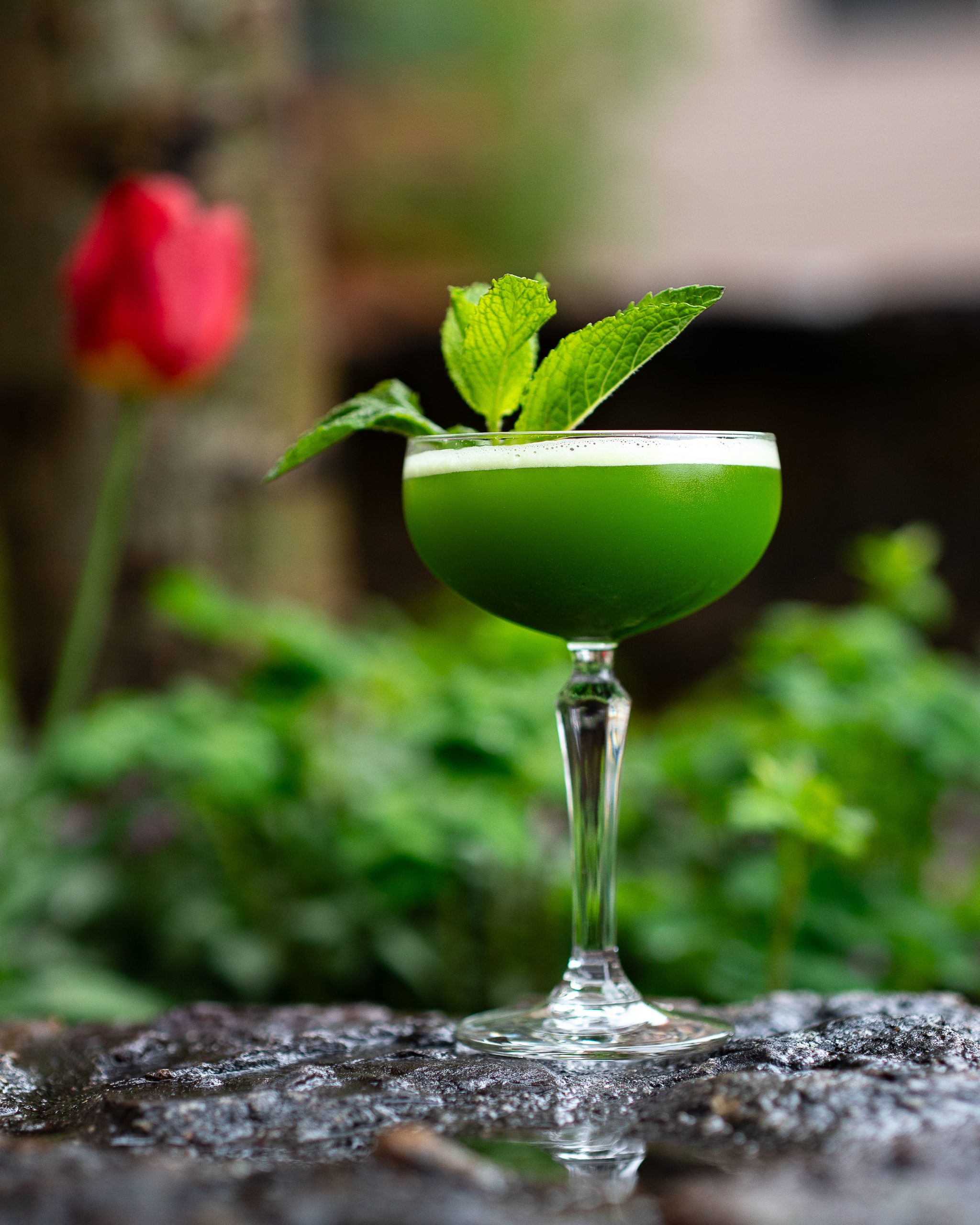 Anthracite Garden Gimlet by McNick Media-20